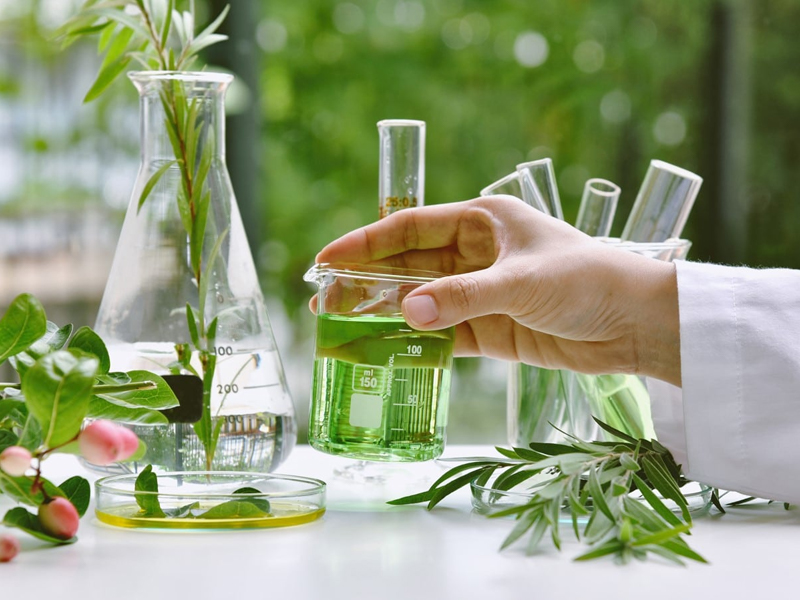 Natural beauty products made with herbs for healthy skin care.